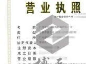 公司执照转让与法律咨询全解析